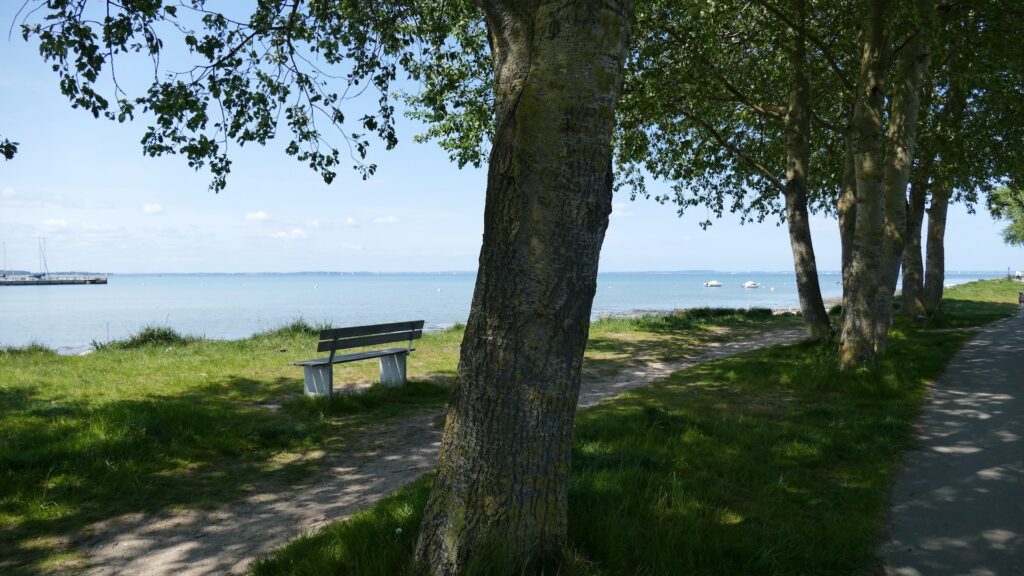 Ausblick auf Ostsee Wackerballig